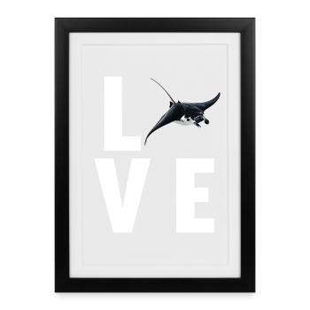 Raies Manta Raies - Affiche encadrée (27 × 37 cm) - noir - Devant