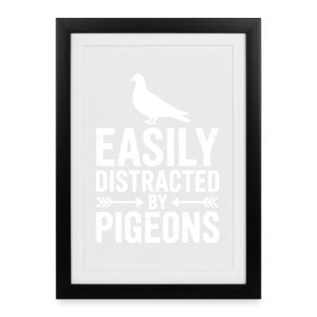 Dictons de colombes Oiseau Colombes Cadeau de Colombes drôles - Affiche encadrée (27 × 37 cm) - noir - Devant