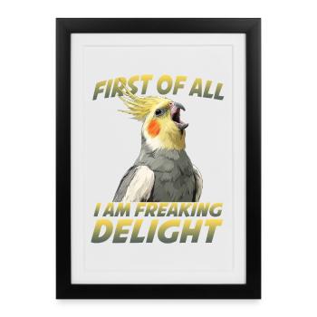 Humour de calopsitte Oiseau Calopsitte Perroquet - Affiche encadrée (27 × 37 cm) - noir - Devant