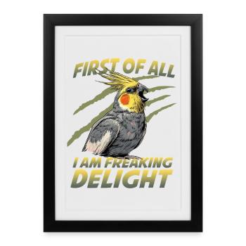 Perroquet oiseau calopsitte Nymphicus hollandicus - Affiche encadrée (27 × 37 cm) - noir - Devant