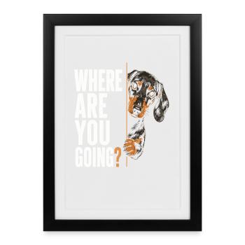 Where Are You Going? Hundeblick - Gerahmtes Poster (27 × 37 cm) - Schwarz - Vorne