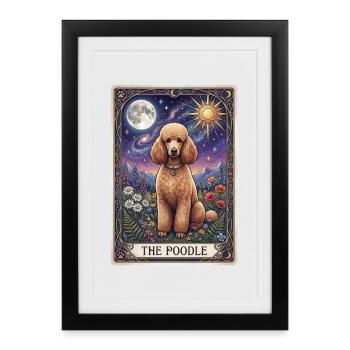 Poodle in the Star Kingdom - Framed poster (27 × 37 cm) - black - Front