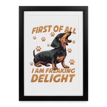 Teckel à poil court Teckel Chien viennois Petit chien de chasse - Affiche encadrée (27 × 37 cm) - noir - Devant