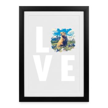 Marmots Groundhog - Framed poster (27 × 37 cm) - black - Front