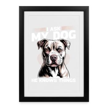 Pitbull Terrier Race de chien pittie - Affiche encadrée (27 × 37 cm) - noir - Devant