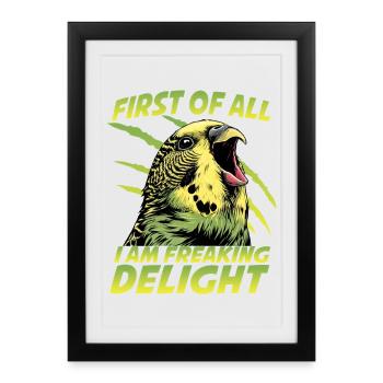 Perruche perruche australienne humour - Affiche encadrée (27 × 37 cm) - noir - Devant