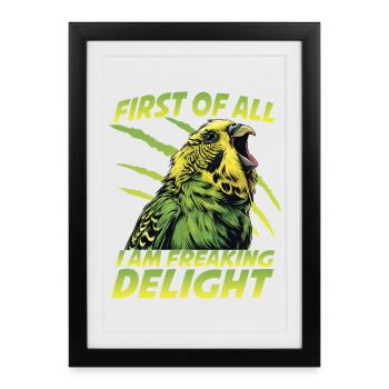 Habit perruche d’ami perruche Welli - Affiche encadrée (27 × 37 cm) - noir - Devant