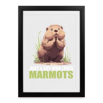 Marmottes Marmotte - Affiche encadrée (27 × 37 cm) - noir - Devant