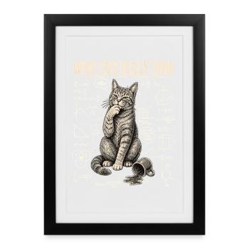 Chat : Ce que pensent vraiment les chats Chemise - Affiche encadrée (27 × 37 cm) - noir - Devant