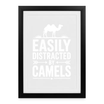 Camel Sayings Camels Funny Camels Gift - Framed poster (27 × 37 cm) - black - Front