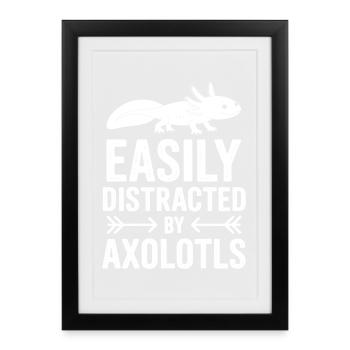 Dictons de l’axolotl Cadeau drôle d’Axolotl - Affiche encadrée (27 × 37 cm) - noir - Devant