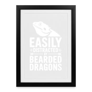 Paroles du Dragon Barbu, Drôle de Don du Dragon Barbu. - Affiche encadrée (27 × 37 cm) - noir - Devant