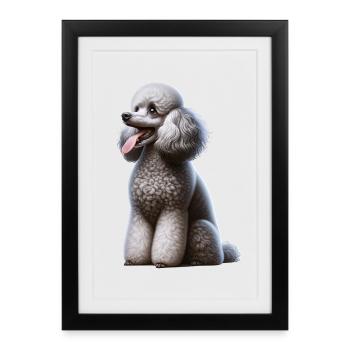 Pudel Poodle - Framed poster (27 × 37 cm) - black - Front