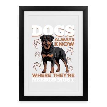 Rottweiler Rottweiler Rottie Race de chien - Affiche encadrée (27 × 37 cm) - noir - Devant