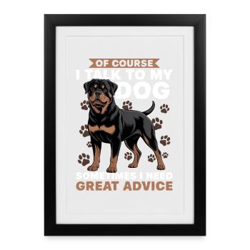Rottweiler Rottweiler Rottie Race de chien - Affiche encadrée (27 × 37 cm) - noir - Devant