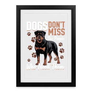 Rottweiler Rottweiler Rottie Race de chien - Affiche encadrée (27 × 37 cm) - noir - Devant