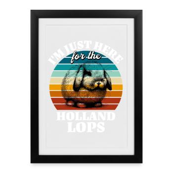 Driles expressions drôles du lapin-bélier nain - Affiche encadrée (27 × 37 cm) - noir - Devant