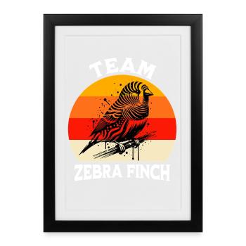 Team Zebrafinch - Framed poster (27 × 37 cm) - black - Front
