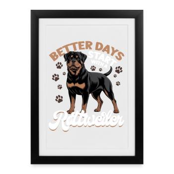 Rottweiler Rottweiler Rottie Race de chien - Affiche encadrée (27 × 37 cm) - noir - Devant