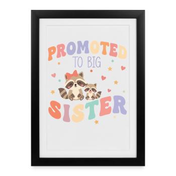 Révélation du sexe : baby shower promue à la grande sœur - Affiche encadrée (27 × 37 cm) - noir - Devant