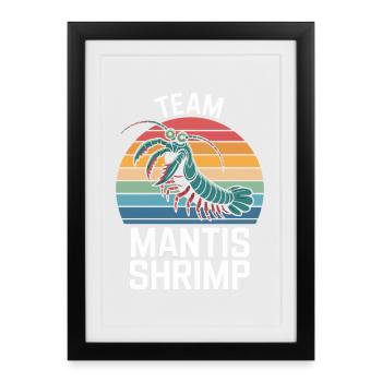 Équipe Mantis Crevettes Arc-en-ciel Rétro - Affiche encadrée (27 × 37 cm) - noir - Devant