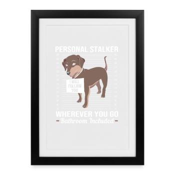 Teckel à poil dur - Affiche encadrée (27 × 37 cm) - noir - Devant