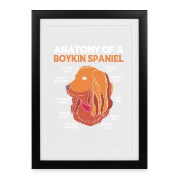 Boykin Spaniel - Framed poster (27 × 37 cm) - black - Front