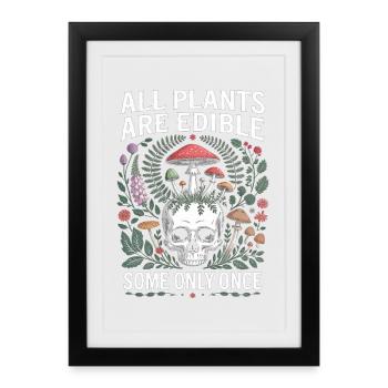 Toutes les plantes comestibles Champignons crâne - Affiche encadrée (27 × 37 cm) - noir - Devant