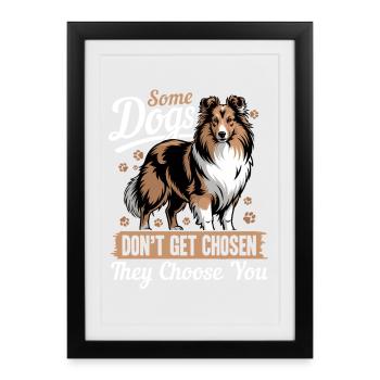 Chien Shetland Sheltie Race - Affiche encadrée (27 × 37 cm) - noir - Devant