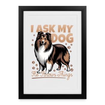 Chien Shetland Sheltie Race - Affiche encadrée (27 × 37 cm) - noir - Devant