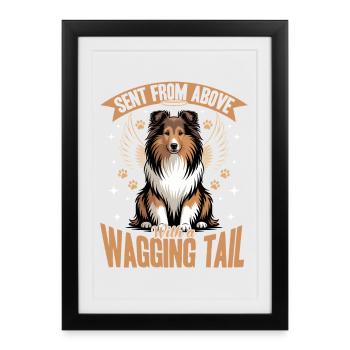 Chien Shetland Sheltie Race - Affiche encadrée (27 × 37 cm) - noir - Devant