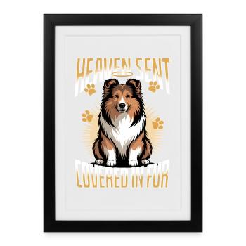 Chien Shetland Sheltie Race - Affiche encadrée (27 × 37 cm) - noir - Devant