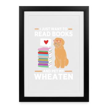 Wheaten Terrier Chien - Affiche encadrée (27 × 37 cm) - noir - Devant