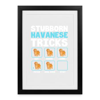 Chien bichon havanais - Affiche encadrée (27 × 37 cm) - noir - Devant