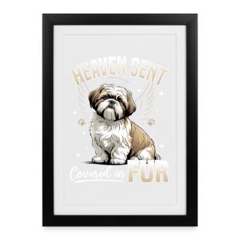 Shih Tzu Dog Breed - Framed poster (27 × 37 cm) - black - Front