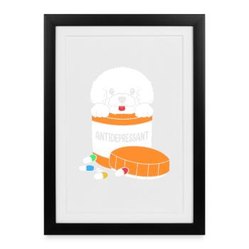 Bichon frisé - Affiche encadrée (27 × 37 cm) - noir - Devant