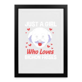 Bichon frisé - Affiche encadrée (27 × 37 cm) - noir - Devant