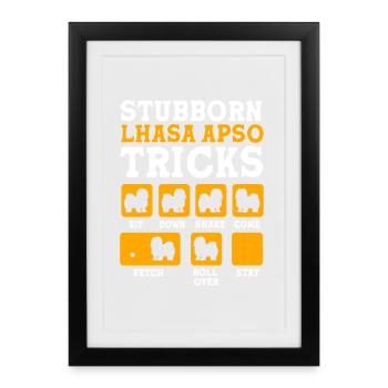 Chien Apso de Lhassa - Affiche encadrée (27 × 37 cm) - noir - Devant