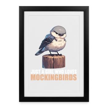 Oiseaux moqueurs Oiseaux moqueurs - Affiche encadrée (27 × 37 cm) - noir - Devant