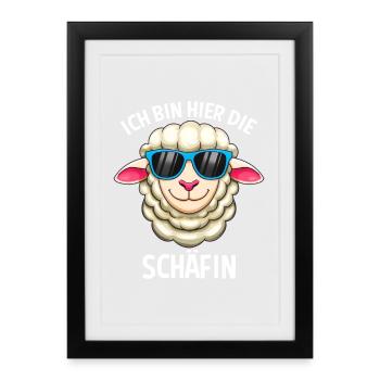 Ich Bin Hier Die Schäfin Schaf Wortwitz  - Gerahmtes Poster (27 × 37 cm) - Schwarz - Vorne