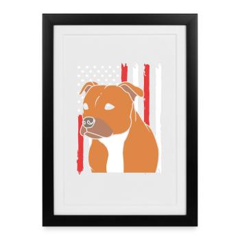 Staffordshire Bull Terrier - Affiche encadrée (27 × 37 cm) - noir - Devant