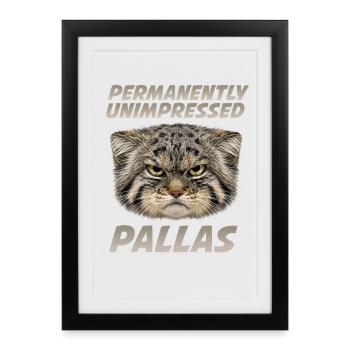 Pallas Cat Manul Humour T Pallas Cats - Affiche encadrée (27 × 37 cm) - noir - Devant