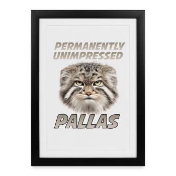 Pallas Cat Manul Kaffee Motiv | Grumpy Wildkatze  - Affiche encadrée (27 × 37 cm) - noir - Devant