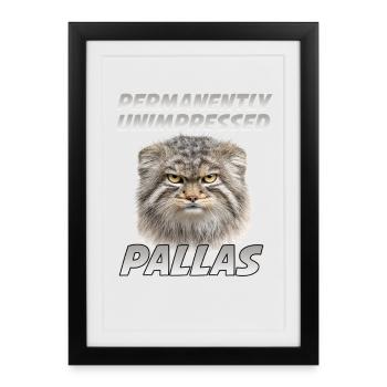 Manul Wildcat Coffee Sarcasme Fans des Cats - Affiche encadrée (27 × 37 cm) - noir - Devant