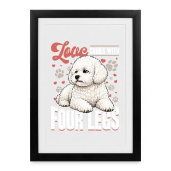 Race de chien Bichon Frisé - Affiche encadrée (27 × 37 cm) - noir - Devant