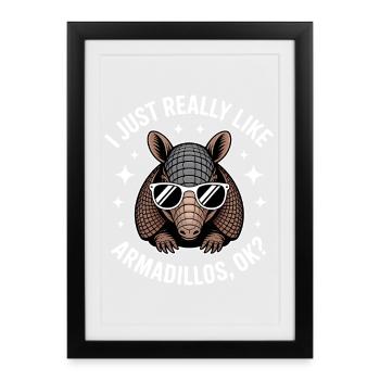 Armadillo Sayings Funny Armadillo Gift - Framed poster (27 × 37 cm) - black - Front