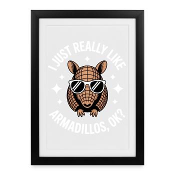 Armadillo Sayings Funny Armadillo Gift - Framed poster (27 × 37 cm) - black - Front