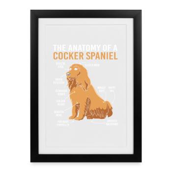 Cocker Spaniel - Affiche encadrée (27 × 37 cm) - noir - Devant
