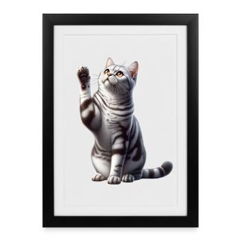 Chat américain à poil court américain à poil court - Affiche encadrée (27 × 37 cm) - noir - Devant