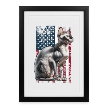 Sphynx Cat US Sphynxkatze - Affiche encadrée (27 × 37 cm) - noir - Devant
